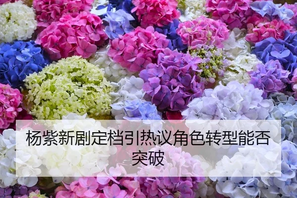杨紫新剧定档引热议角色转型能否突破